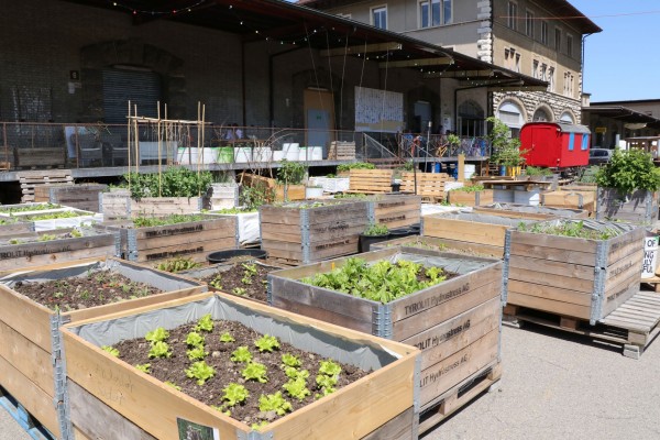 Komunitní zahrádka pro seniory