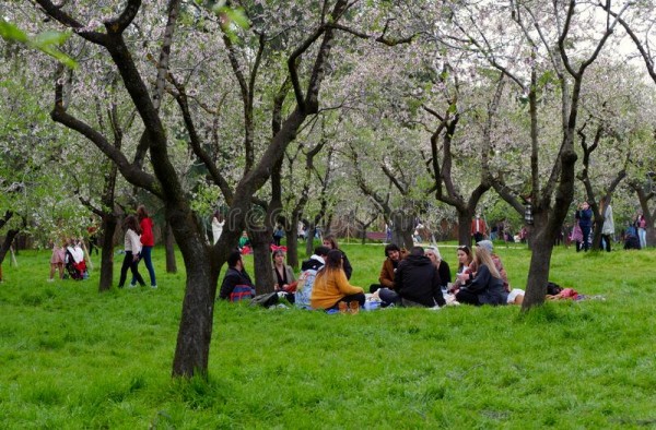 Komunitní ovocný sad s lavičkami a piknikovými terasami