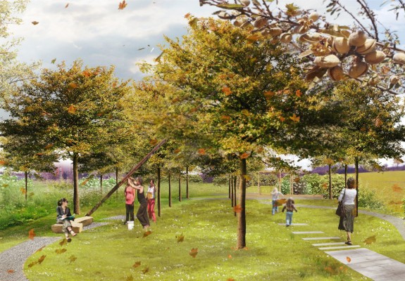 Komunitní ovocný sad s lavičkami a piknikovými terasami